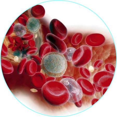 Изображение для категории Стимуляция кроветворения